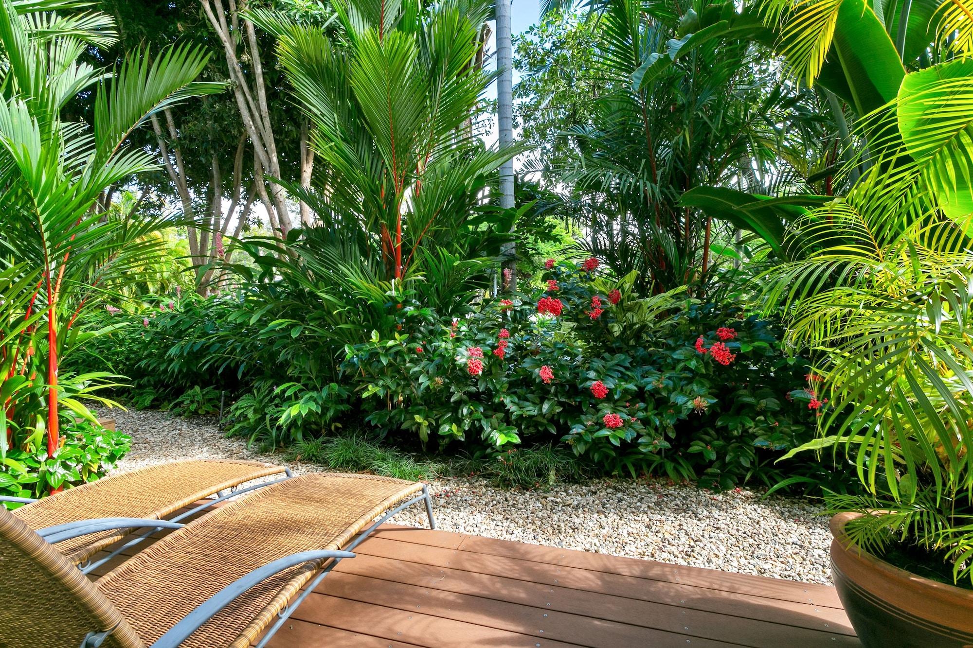 Port Douglas Apartments - Adults Only Oasis Kültér fotó
