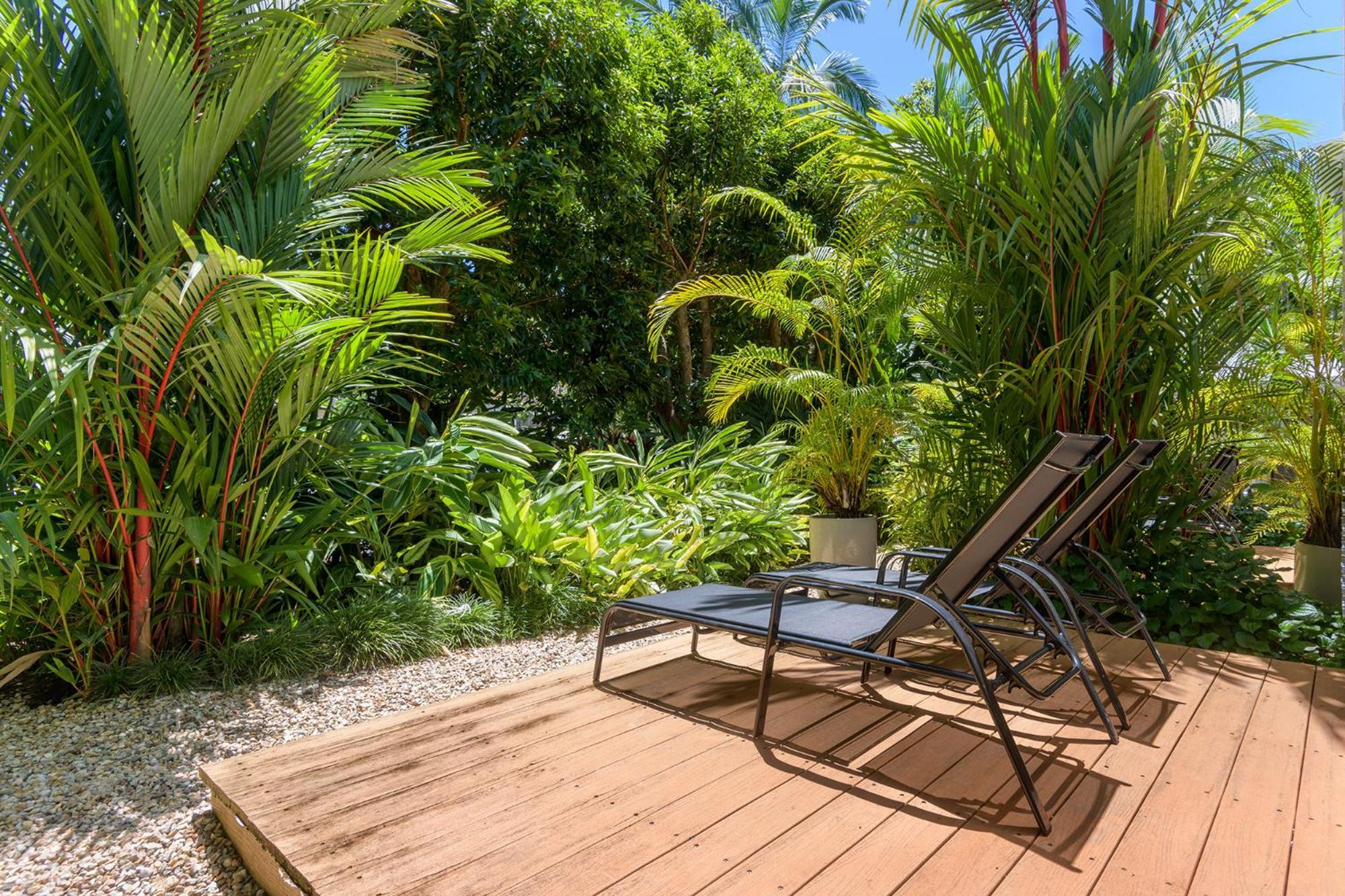 Port Douglas Apartments - Adults Only Oasis Kültér fotó